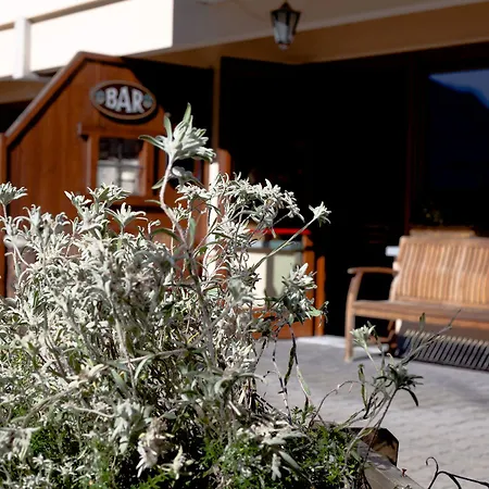 Vallee Blanche Hotel 3*