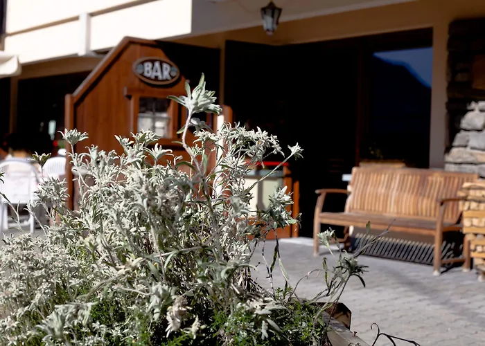 Hotel Vallee Blanche Courmayeur