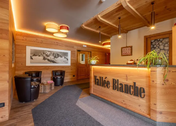 Vallee Blanche 호텔 3*